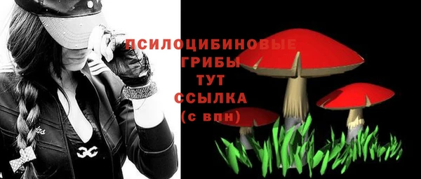 спайс Заволжье