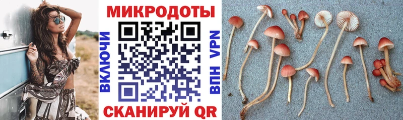 Галлюциногенные грибы Magic Shrooms  Купить где  Ульяновск 